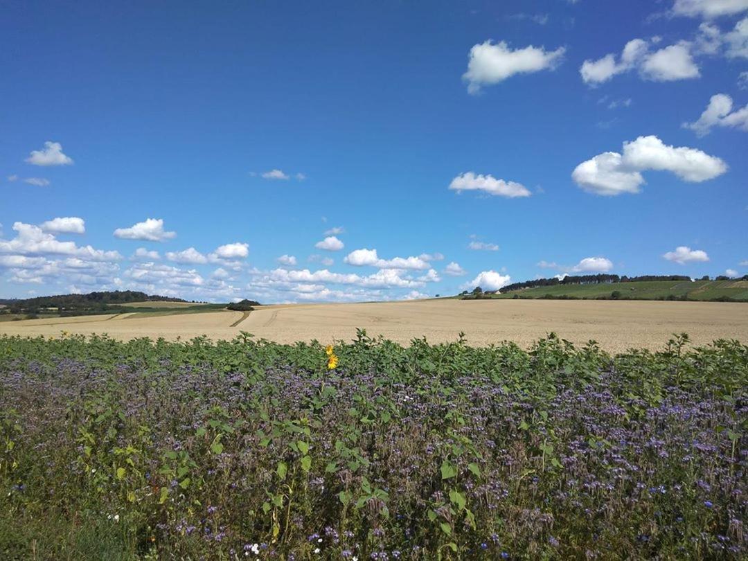 Obere Ferienwohnung Asshoff Zwischen Odenwald, Taubertal Und Bauland Berolzheim Bagian luar foto